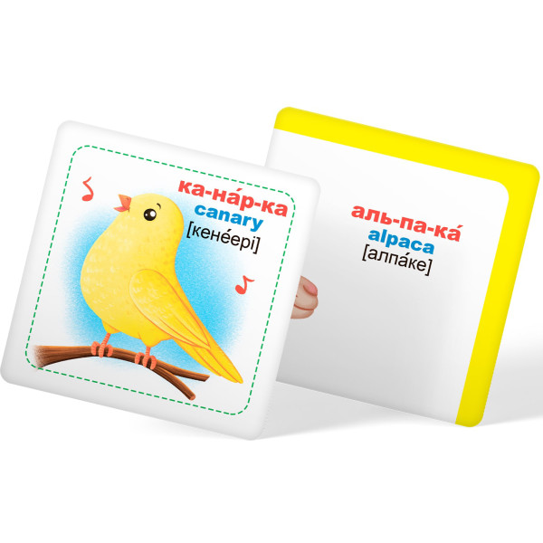 Фото - Карточки обучающие Crystal Book Умные. Домашние животные. 30 карточек (9789669875358)