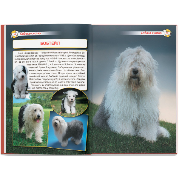 Фото -  Crystal Book Енциклопедія. Собаки (9786175471067)