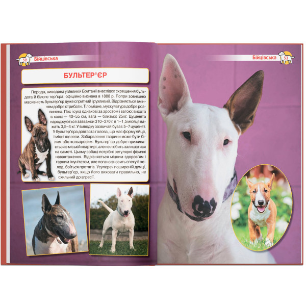 Фото -  Crystal Book Енциклопедія. Собаки (9786175471067)