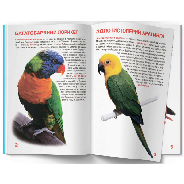 Фото -  Crystal Book Велика книжка. Папуги (9786177268283)