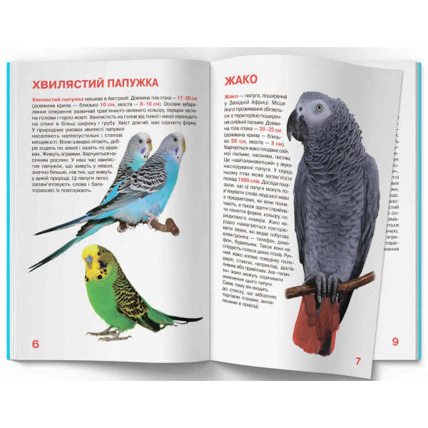 Фото -  Crystal Book Велика книжка. Папуги (9786177268283)