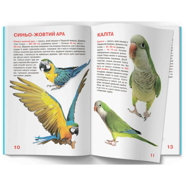 Фото -  Crystal Book Велика книжка. Папуги (9786177268283)