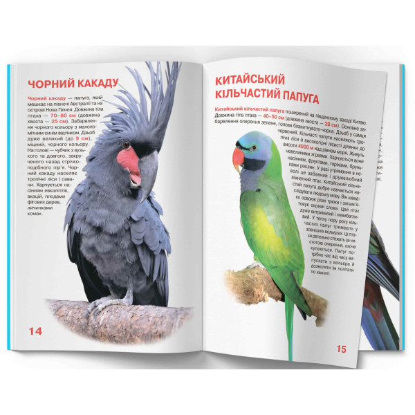 Фото -  Crystal Book Велика книжка. Папуги (9786177268283)