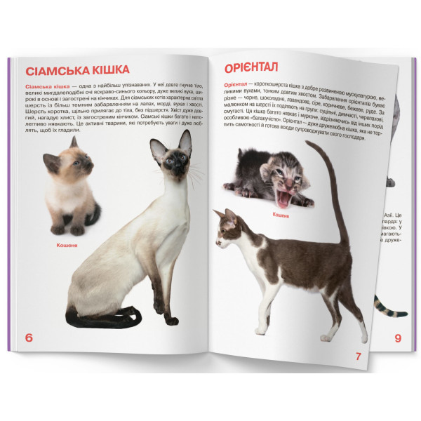 Фото -  Crystal Book Большая книга. Кошки (код 57-9) (9786177352579)