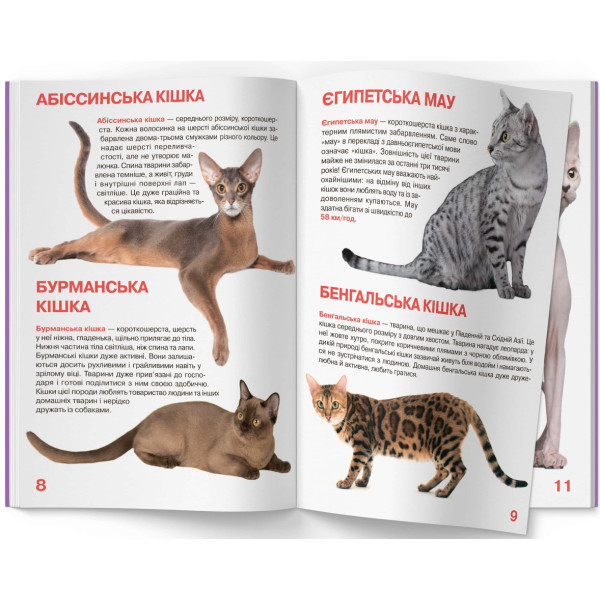 Фото -  Crystal Book Большая книга. Кошки (код 57-9) (9786177352579)