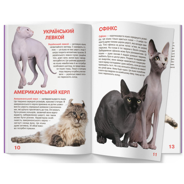 Фото -  Crystal Book Большая книга. Кошки (код 57-9) (9786177352579)