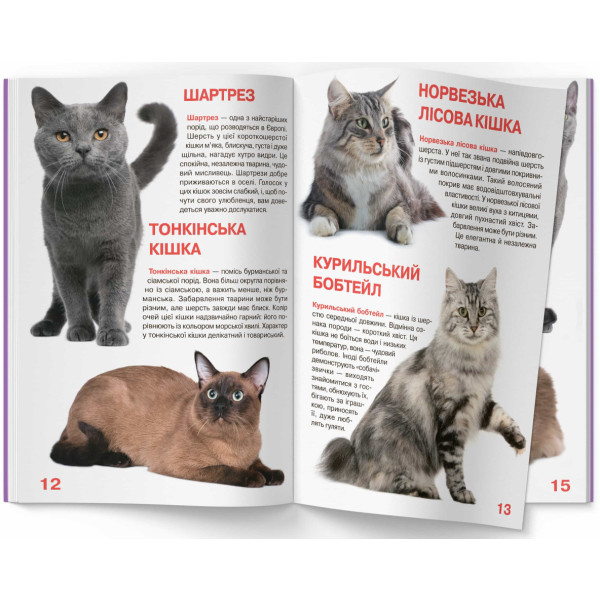 Фото -  Crystal Book Большая книга. Кошки (код 57-9) (9786177352579)