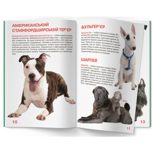 Фото -  Crystal Book Большая книга. Собаки (код 068-7) (9789669360687)