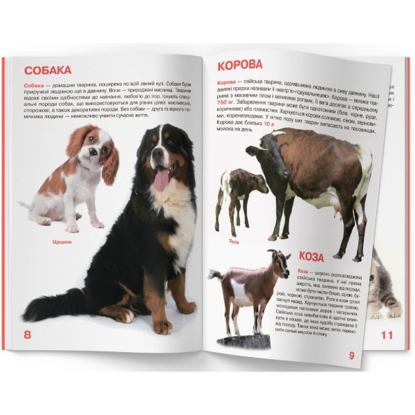 Фото -  Crystal Book Большая книга. Домашние животные. (9789669361554)