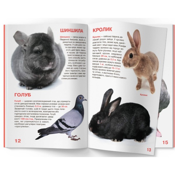 Фото -  Crystal Book Большая книга. Домашние животные. (9789669361554)