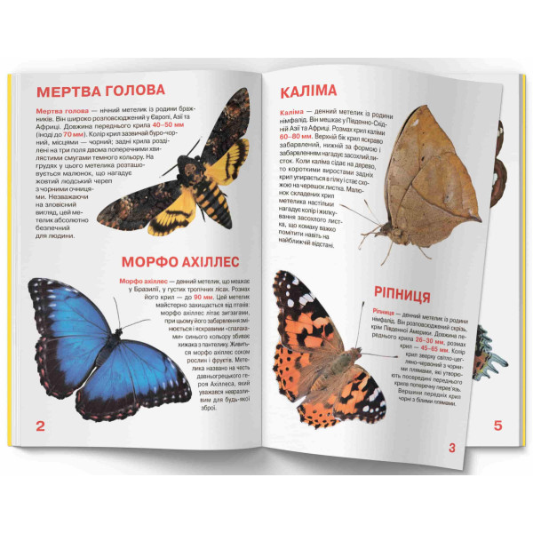 Фото -  Crystal Book Велика книжка. Метелики. (9789669367754)