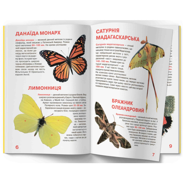 Фото -  Crystal Book Велика книжка. Метелики. (9789669367754)