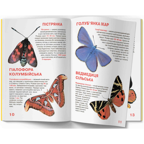 Фото -  Crystal Book Велика книжка. Метелики. (9789669367754)