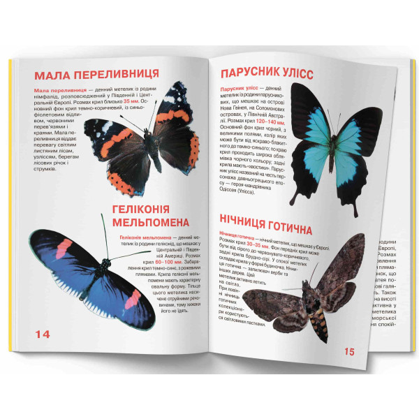 Фото -  Crystal Book Велика книжка. Метелики. (9789669367754)
