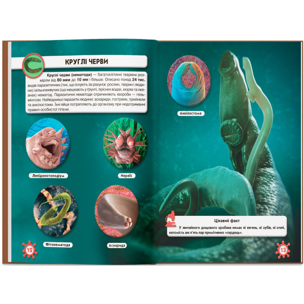 Фото -  Crystal Book Мир вокруг нас. Микромир (9789669368959)