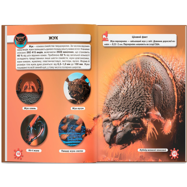 Фото -  Crystal Book Мир вокруг нас. Микромир (9789669368959)