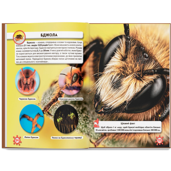 Фото -  Crystal Book Мир вокруг нас. Микромир (9789669368959)