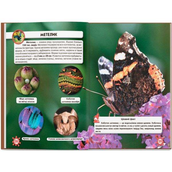 Фото -  Crystal Book Мир вокруг нас. Микромир (9789669368959)