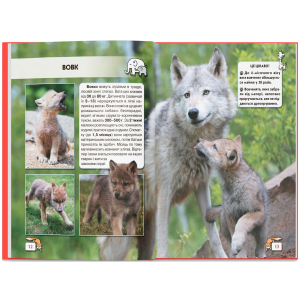 Фото -  Crystal Book Мир вокруг нас. Малыши животных (9789669369499)