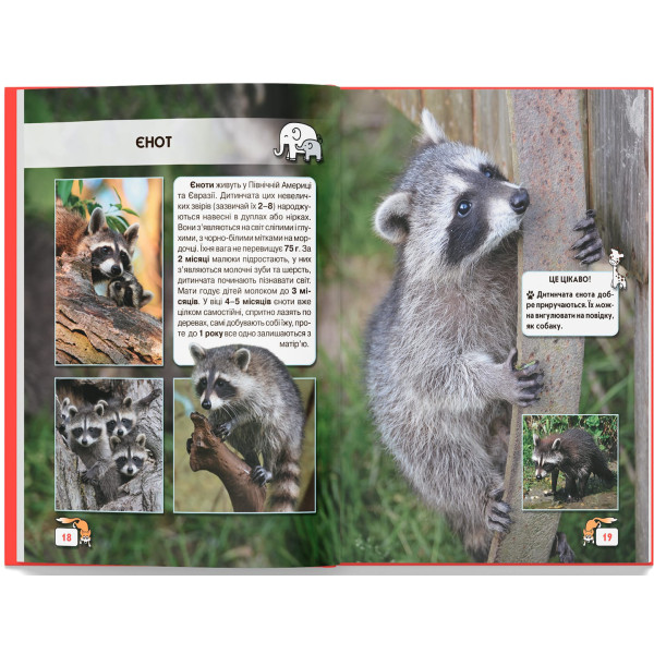 Фото -  Crystal Book Мир вокруг нас. Малыши животных (9789669369499)