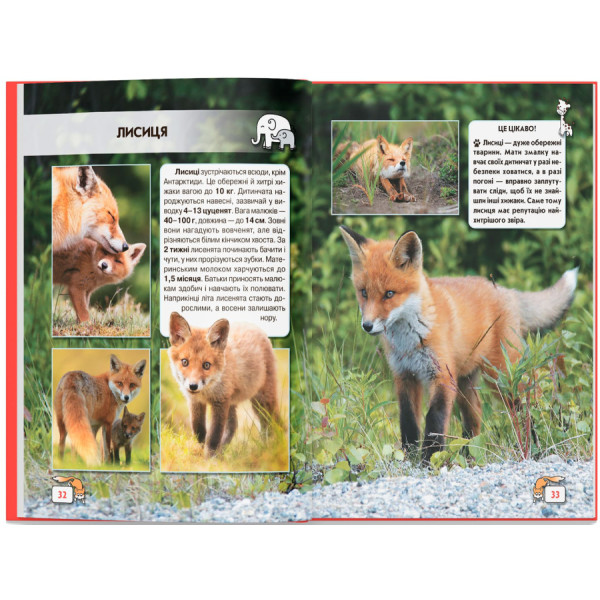 Фото -  Crystal Book Мир вокруг нас. Малыши животных (9789669369499)