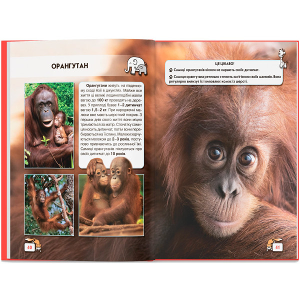 Фото -  Crystal Book Мир вокруг нас. Малыши животных (9789669369499)