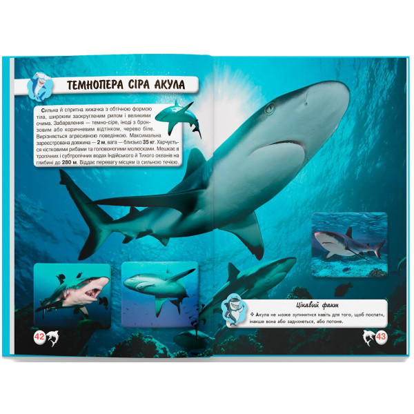 Фото -  Crystal Book Світ навколо нас. Акули (9789669369147)