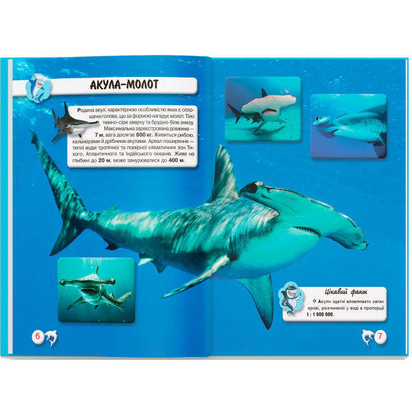 Фото -  Crystal Book Світ навколо нас. Акули (9789669369147)