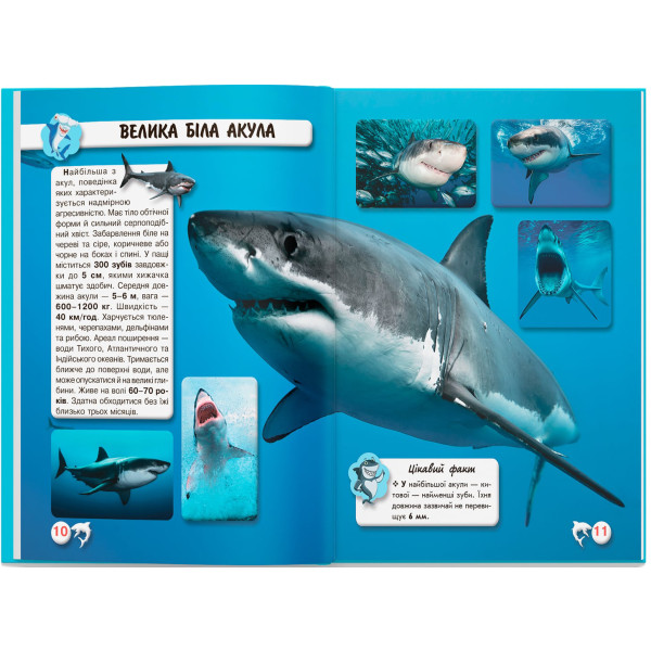 Фото -  Crystal Book Світ навколо нас. Акули (9789669369147)