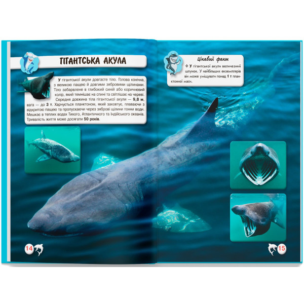 Фото -  Crystal Book Світ навколо нас. Акули (9789669369147)