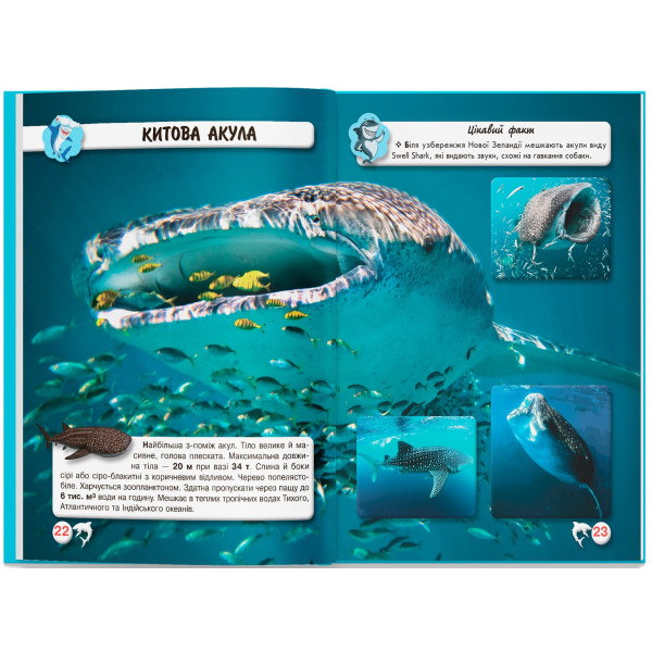 Фото -  Crystal Book Світ навколо нас. Акули (9789669369147)