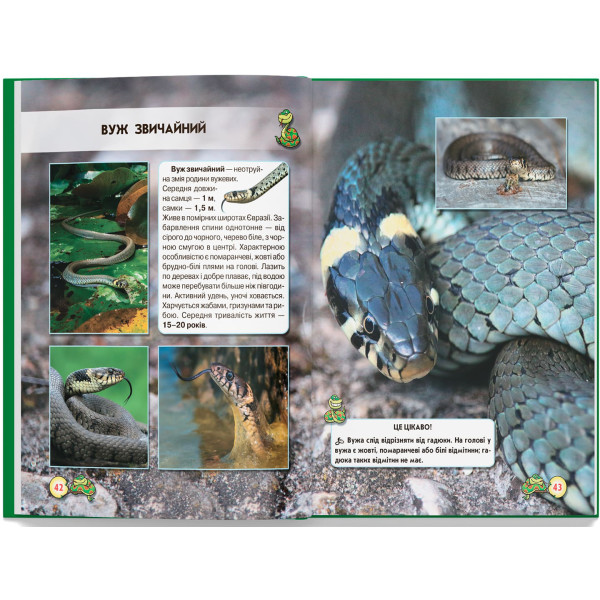 Фото -  Crystal Book Мир вокруг нас. Змеи (9789669369185)