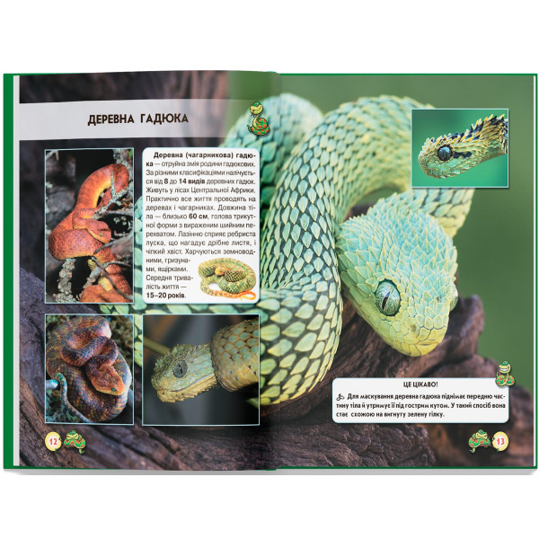 Фото -  Crystal Book Мир вокруг нас. Змеи (9789669369185)