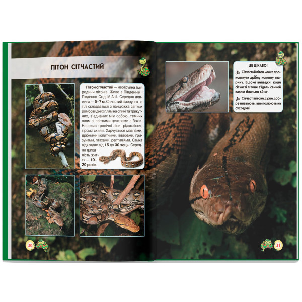 Фото -  Crystal Book Мир вокруг нас. Змеи (9789669369185)