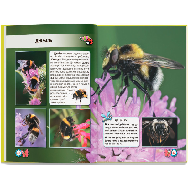 Фото -  Crystal Book Мир вокруг нас. Насекомые (9789669369208)