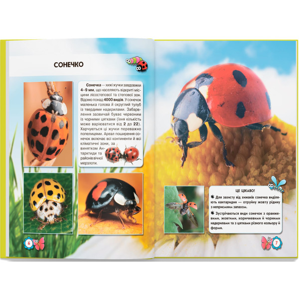 Фото -  Crystal Book Мир вокруг нас. Насекомые (9789669369208)