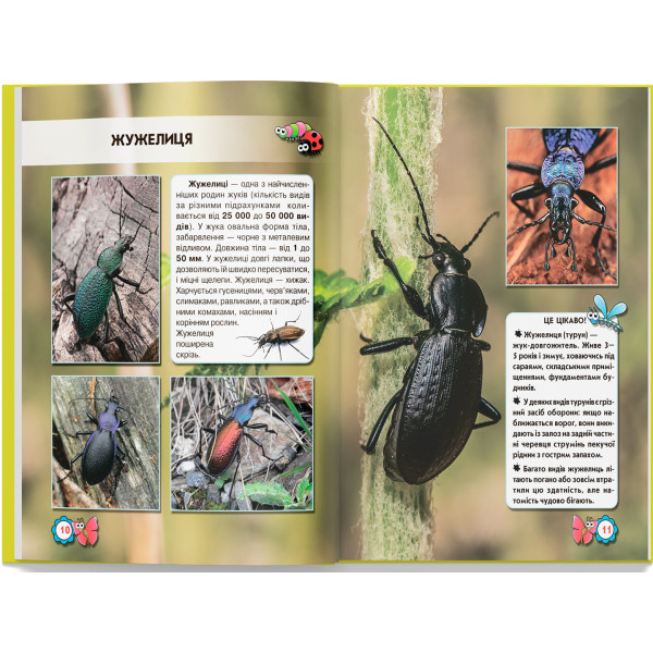 Фото -  Crystal Book Мир вокруг нас. Насекомые (9789669369208)
