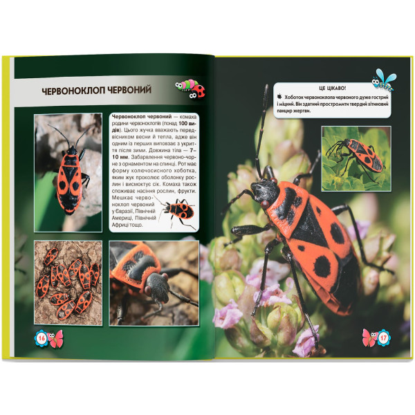 Фото -  Crystal Book Мир вокруг нас. Насекомые (9789669369208)