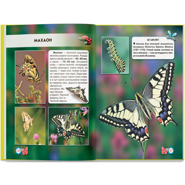 Фото -  Crystal Book Мир вокруг нас. Насекомые (9789669369208)