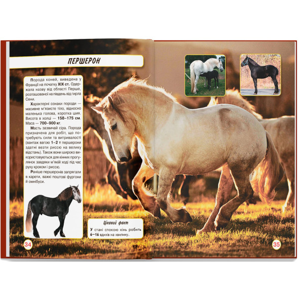 Фото -  Crystal Book Мир вокруг нас. Лошади (9789669367464)