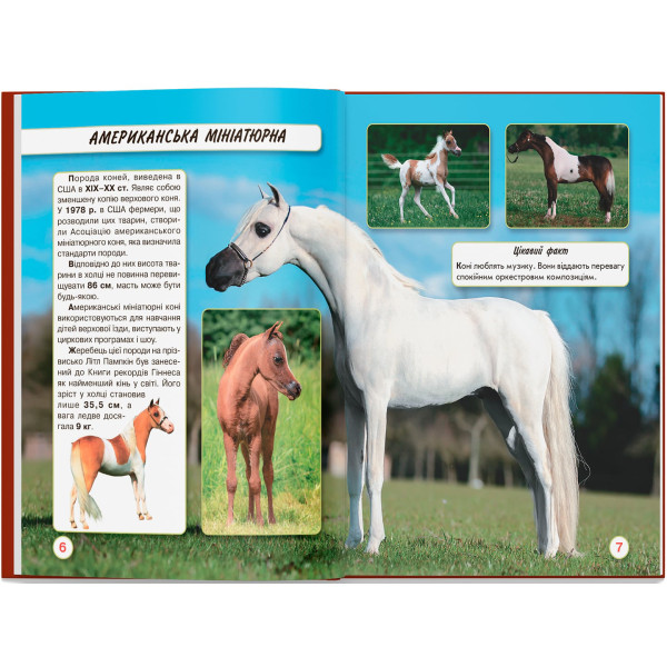 Фото -  Crystal Book Мир вокруг нас. Лошади (9789669367464)