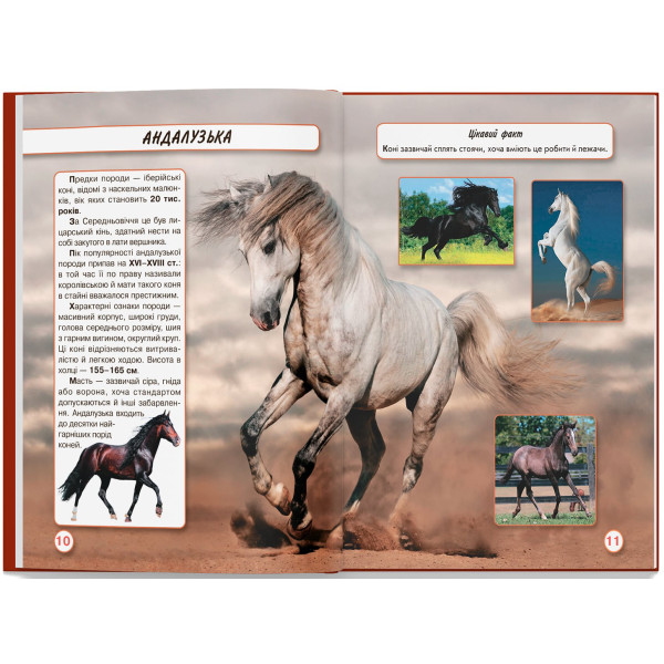 Фото -  Crystal Book Мир вокруг нас. Лошади (9789669367464)