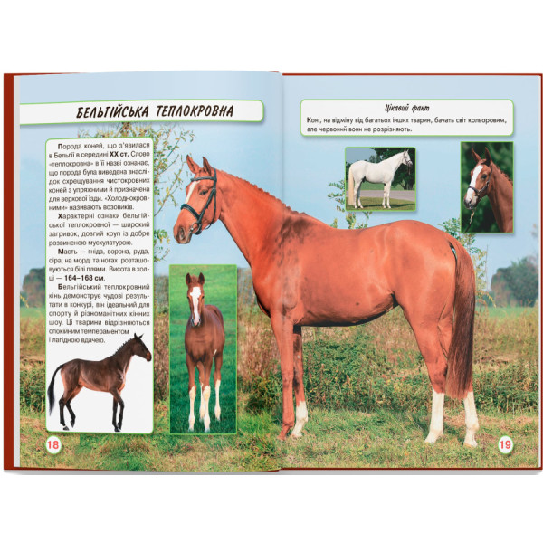 Фото -  Crystal Book Мир вокруг нас. Лошади (9789669367464)