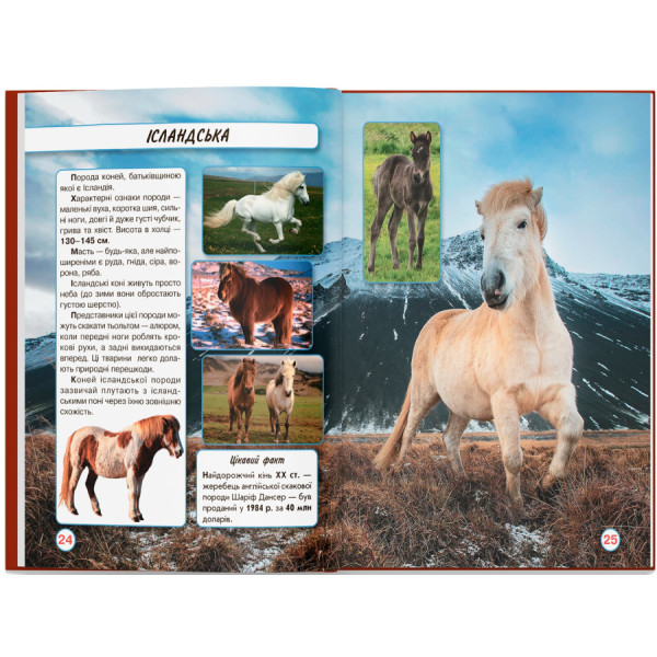 Фото -  Crystal Book Мир вокруг нас. Лошади (9789669367464)