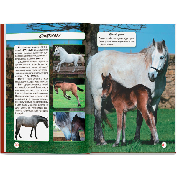 Фото -  Crystal Book Мир вокруг нас. Лошади (9789669367464)