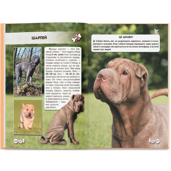 Фото - Crystal Book Світ навколо нас. Собаки (9789669367488)