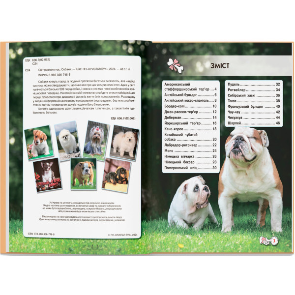 Фото - Crystal Book Світ навколо нас. Собаки (9789669367488)