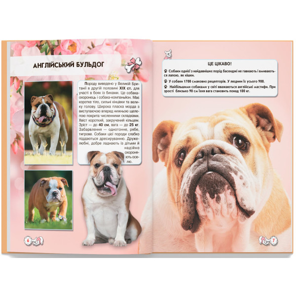 Фото - Crystal Book Світ навколо нас. Собаки (9789669367488)