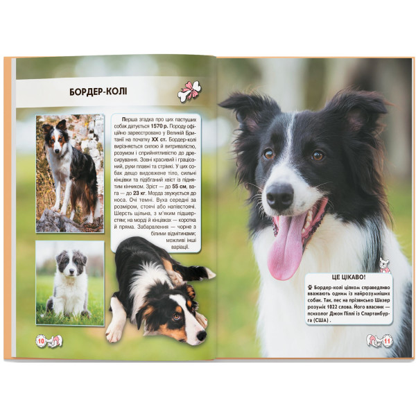 Фото - Crystal Book Світ навколо нас. Собаки (9789669367488)