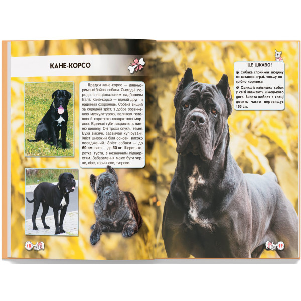 Фото - Crystal Book Світ навколо нас. Собаки (9789669367488)